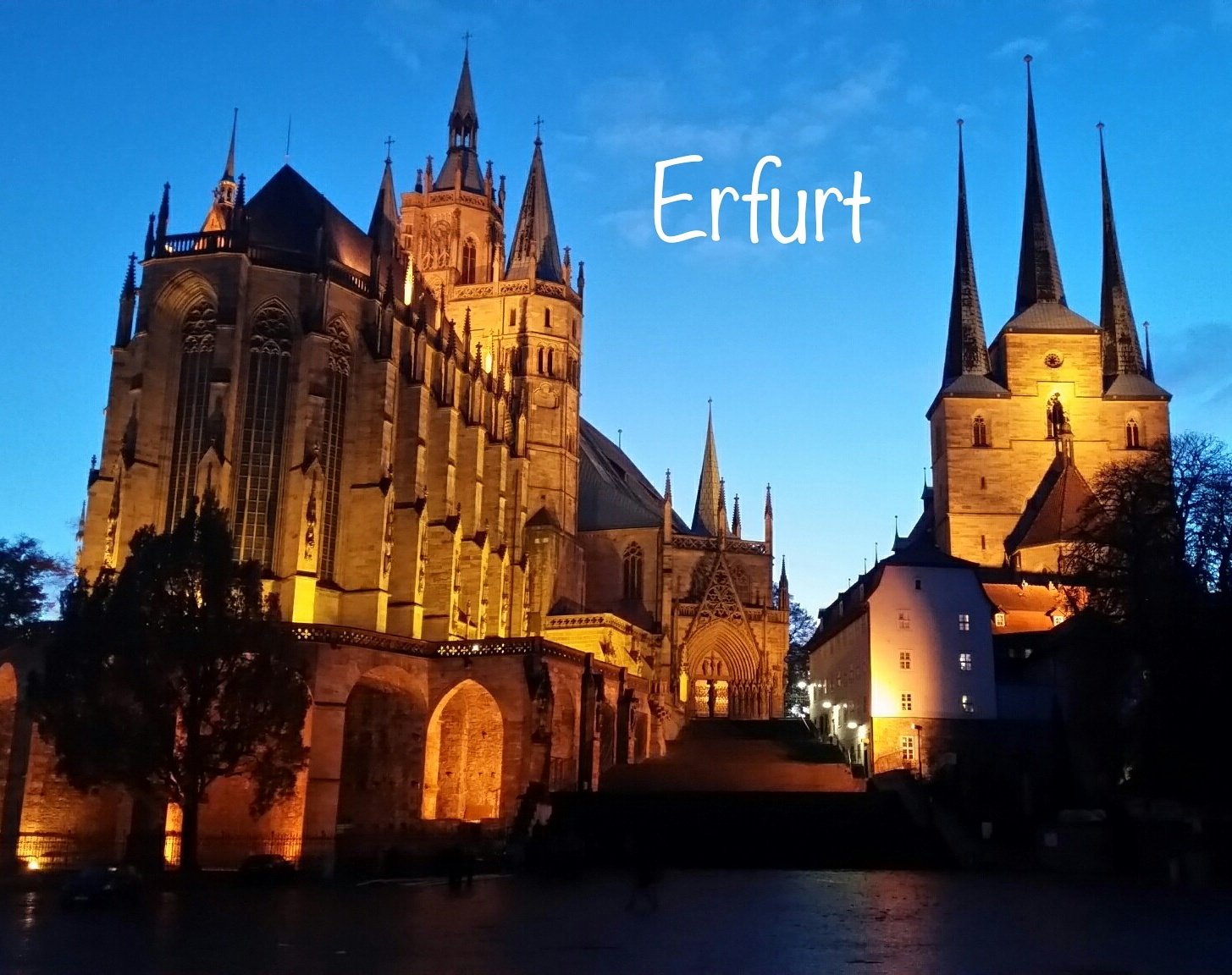 THE 15 BEST Things To Do In Erfurt (2024) - Must-See Attractions