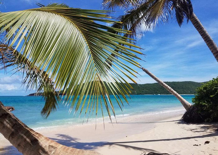 Du lịch Culebra năm 2023: hoạt động giải trí tại Culebra | Tripadvisor