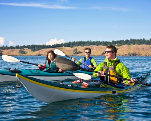 THE 10 BEST Friday Harbor Tours & Excursions for 2023 (with Prices)