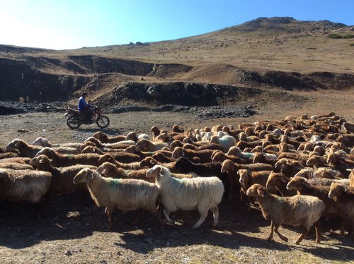 Bayingolin Mongol Autonomous Prefecture Jackie L review images