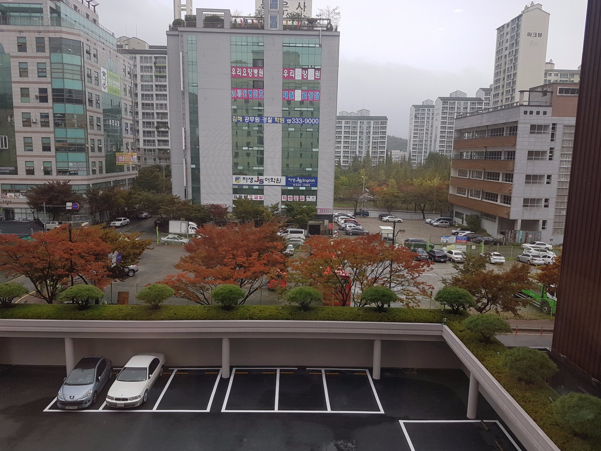 파인 그로브 호텔 객실: 사진 및 리뷰 - 트립어드바이저