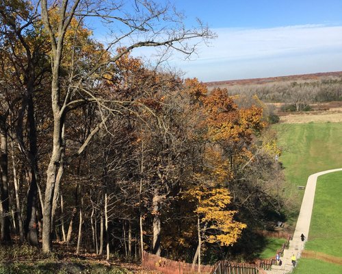 are dogs allowed at nature preserves in illinois