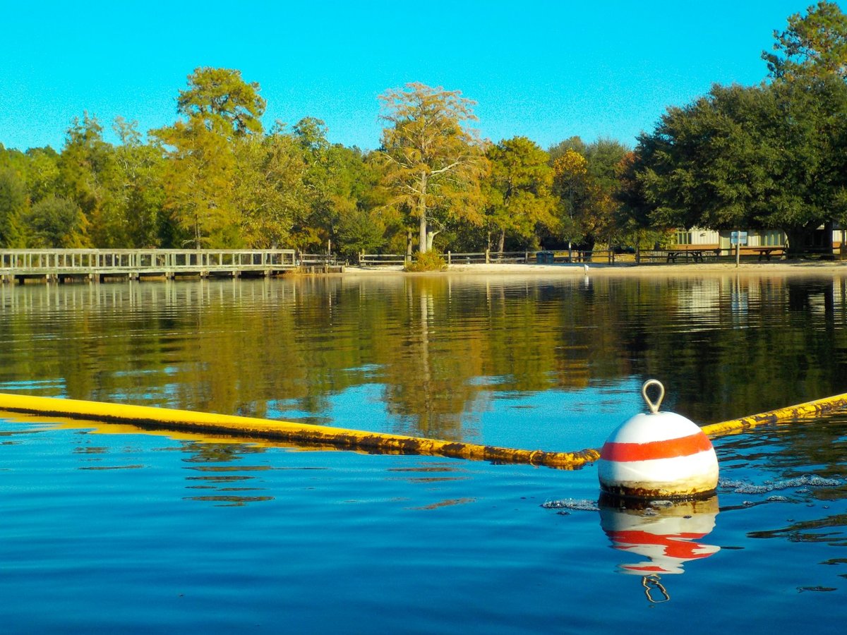 Escape To Serenity: Unveiling The Hidden Gem Of Jones Lake State Park