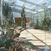 Inside one of the locked greenhouses