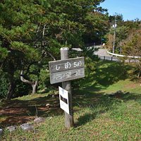 景色は撮り忘れました
