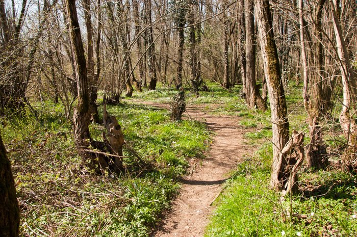 Parco del Molgora a Vimercate