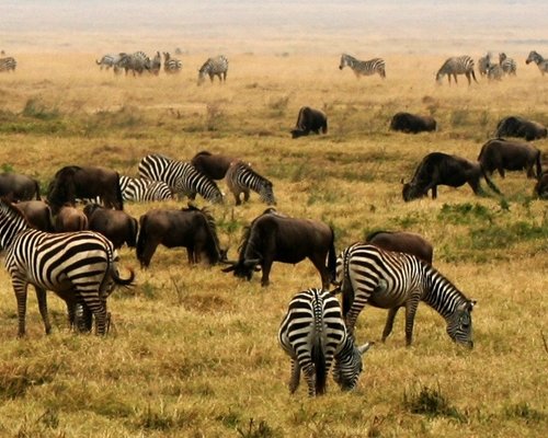 THE 15 BEST Things to Do in Africa - 2024 (with Photos) - Tripadvisor