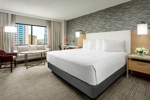 Newly Renovated King Guest Room