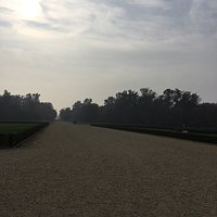 Viale centrale