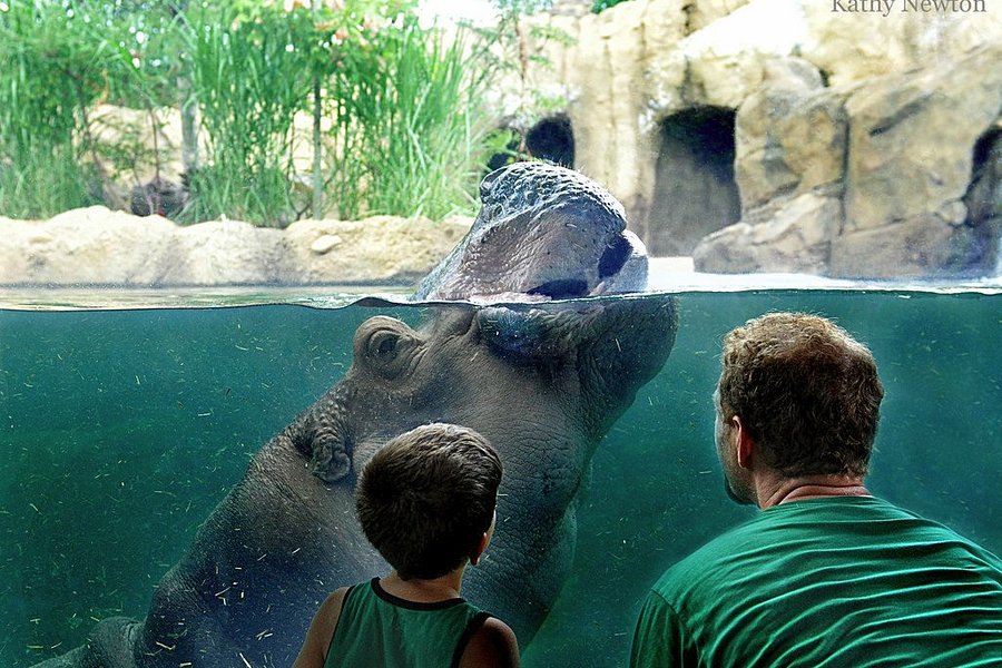  Discover the Magic of South Carolina Petting Zoo: A Family Adventure Awaits!