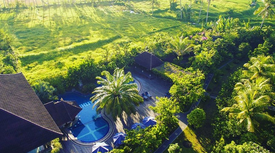 Amazing Bird Eye's Views of Hotel Area