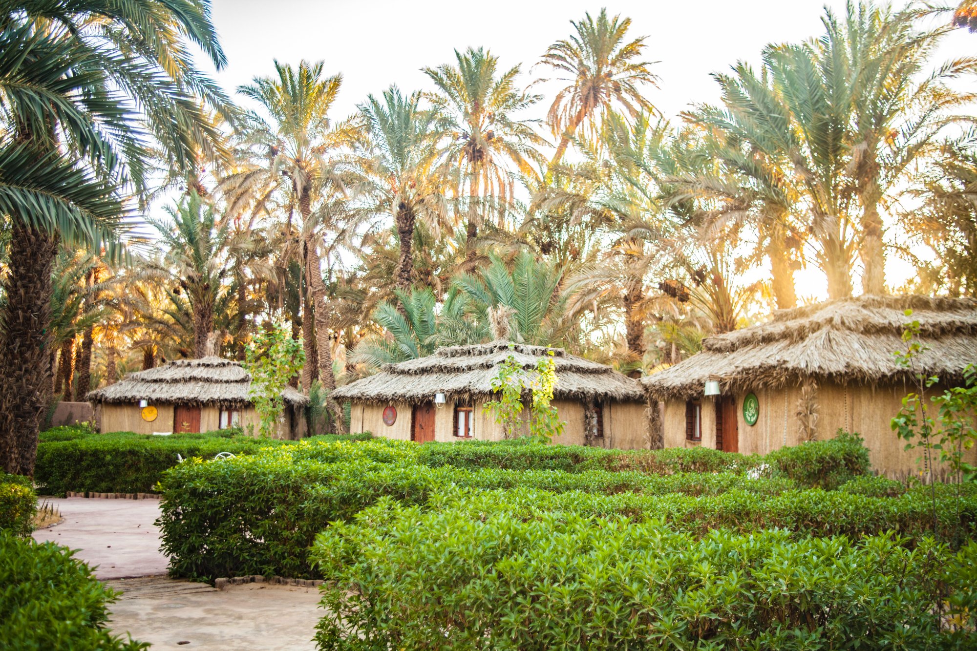 Hotel photo 21 of Riad Lamane.