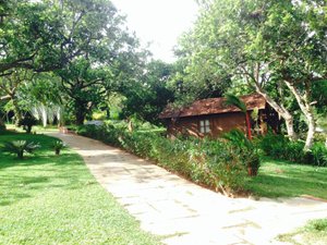 Phòng & Phòng Suite
