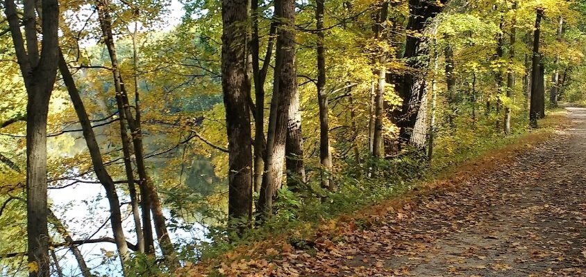 Fall colors on the towpath