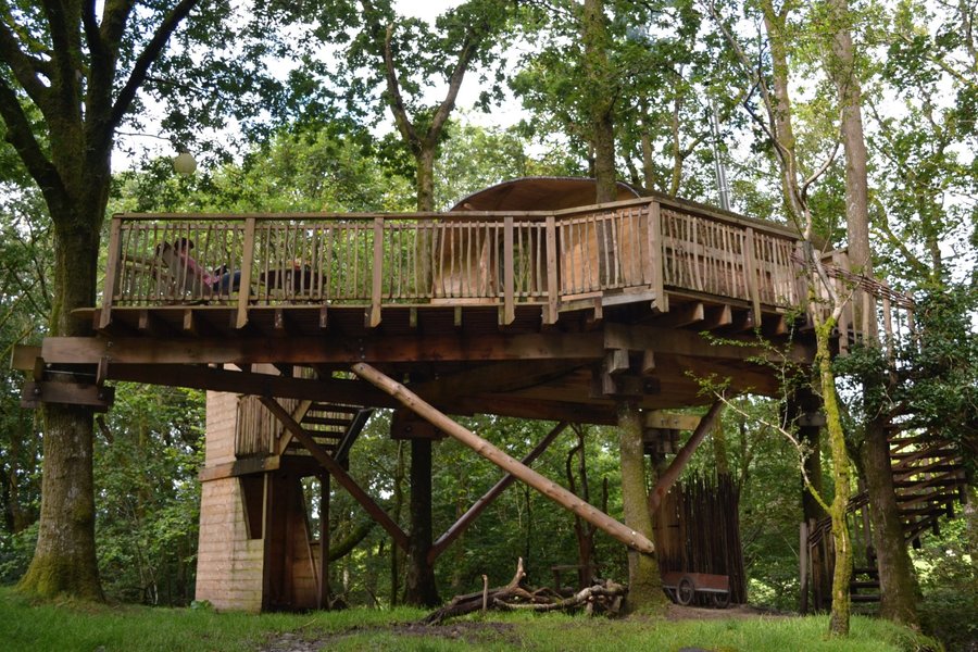 living room treehouses machynlleth