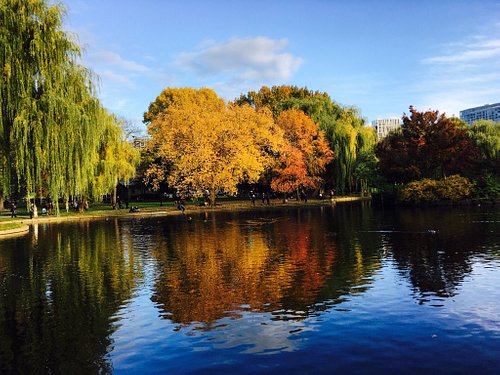 Landsdækkende Arne Begrænse THE 10 BEST Parks & Nature Attractions in Boston - Tripadvisor
