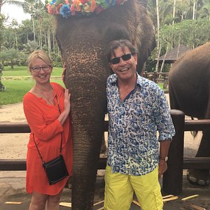 Visite de l éléphants safari parc