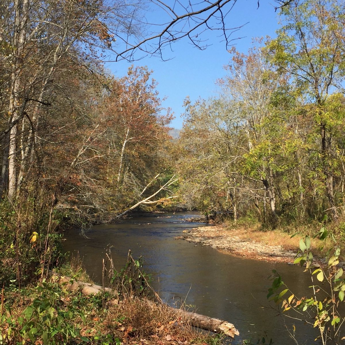 OCONALUFTEE RIVER TRAIL: Tutto quello che c'è da sapere (2025)