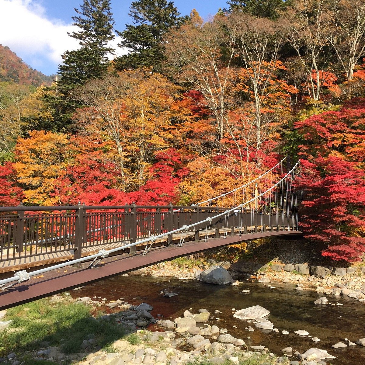 21年 紅の吊橋 行く前に 見どころをチェック トリップアドバイザー