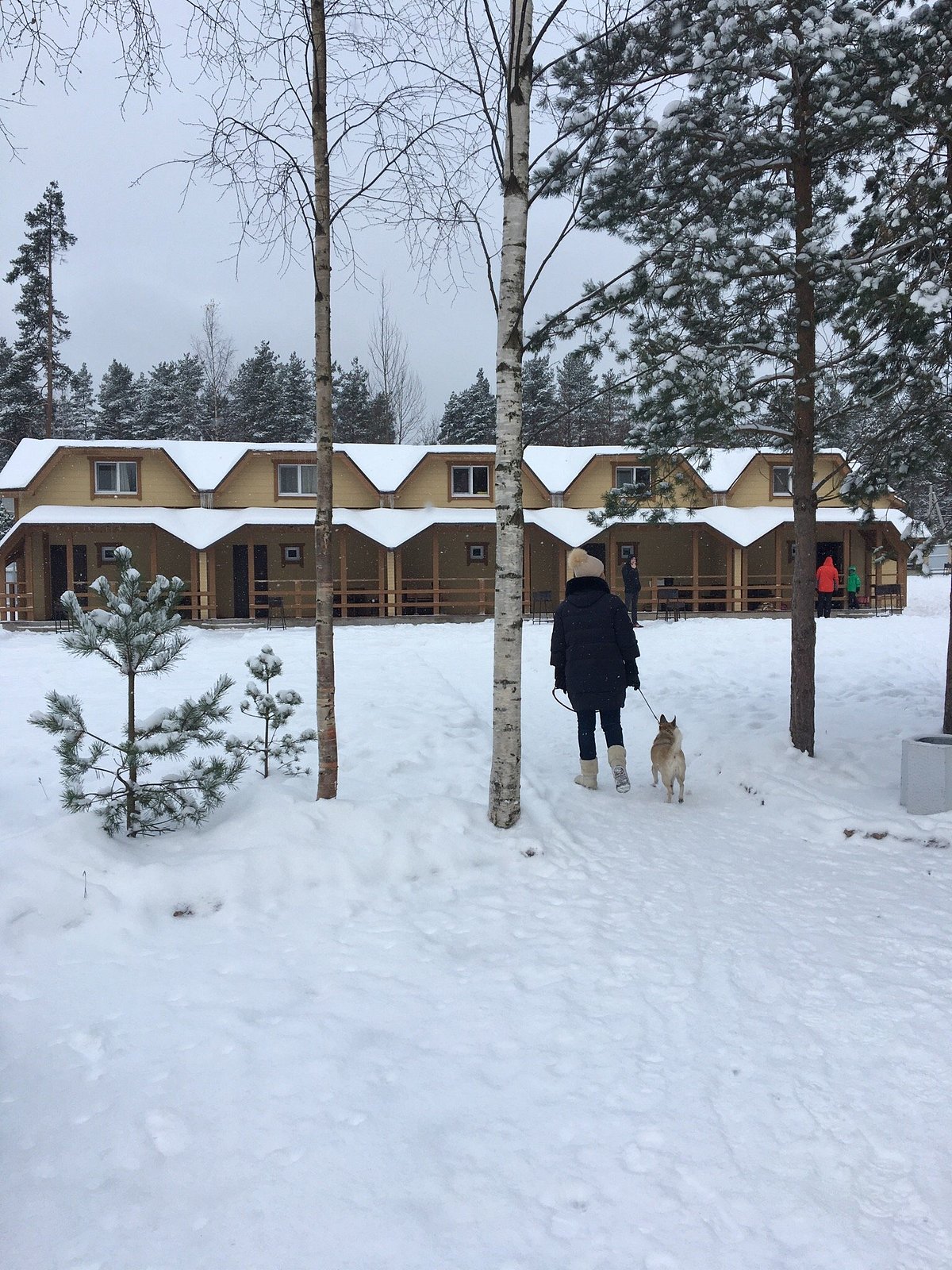 В общем неплохой отдых на природе - отзыв о Шишки на Лампушке, база отдыха,  Мичуринское, Россия - Tripadvisor