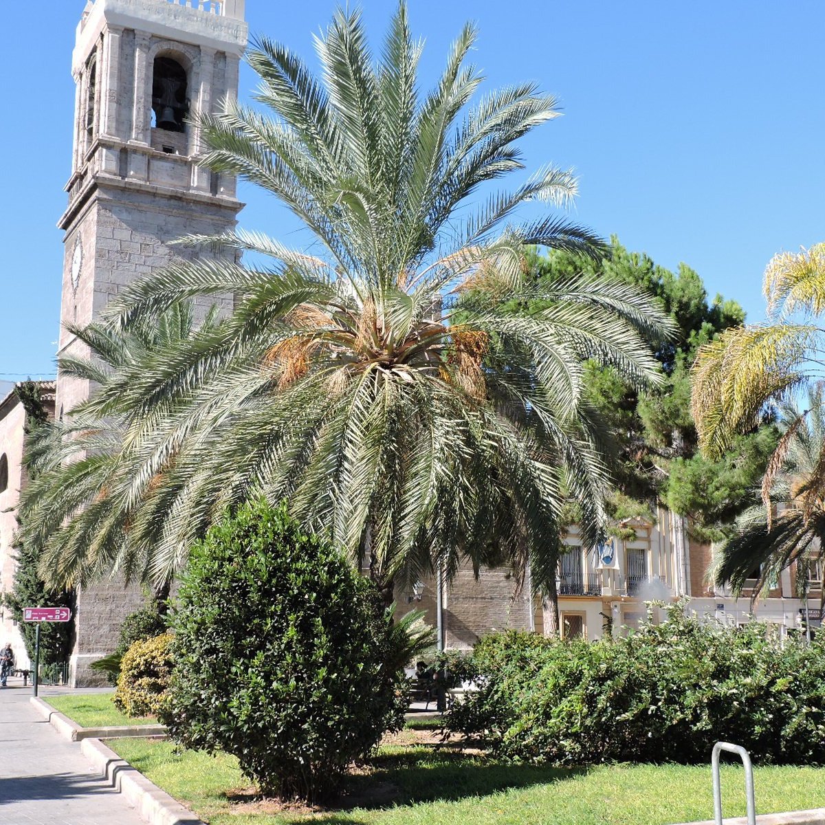 Iglesia de Santa Maria del Mar Valencia Bewertungen und Fotos