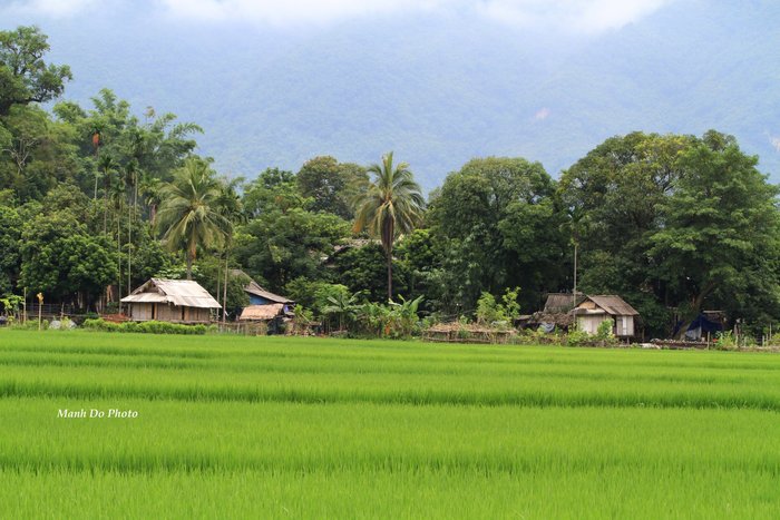 Mai Chau Farmstay Rooms: Pictures & Reviews - Tripadvisor