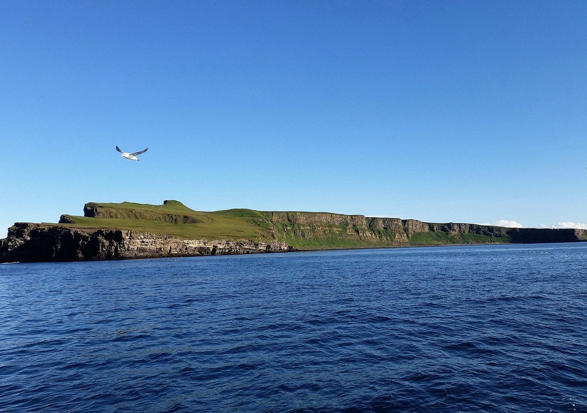 Arctic Trip Grimsey Island All You Need To Know Before You Go 9155