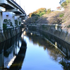 shampoo, balsamo e bagnoschiuma - Picture of Tokyo Garden Palace, Bunkyo -  Tripadvisor