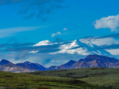 THE 15 BEST Things to Do in Denali National Park and Preserve - 2024 (with  Photos) - Tripadvisor
