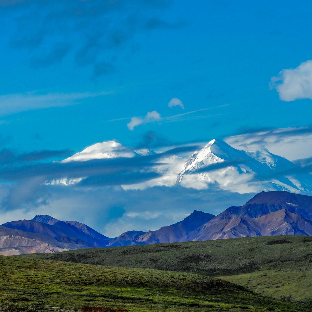 Denali (Denali National Park and Preserve) All You Need to Know