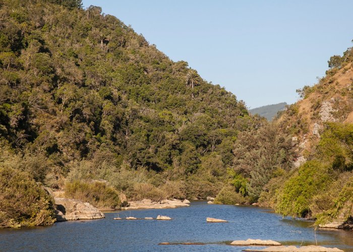 Las Palmas Canyon is such a peaceful place, come with us!