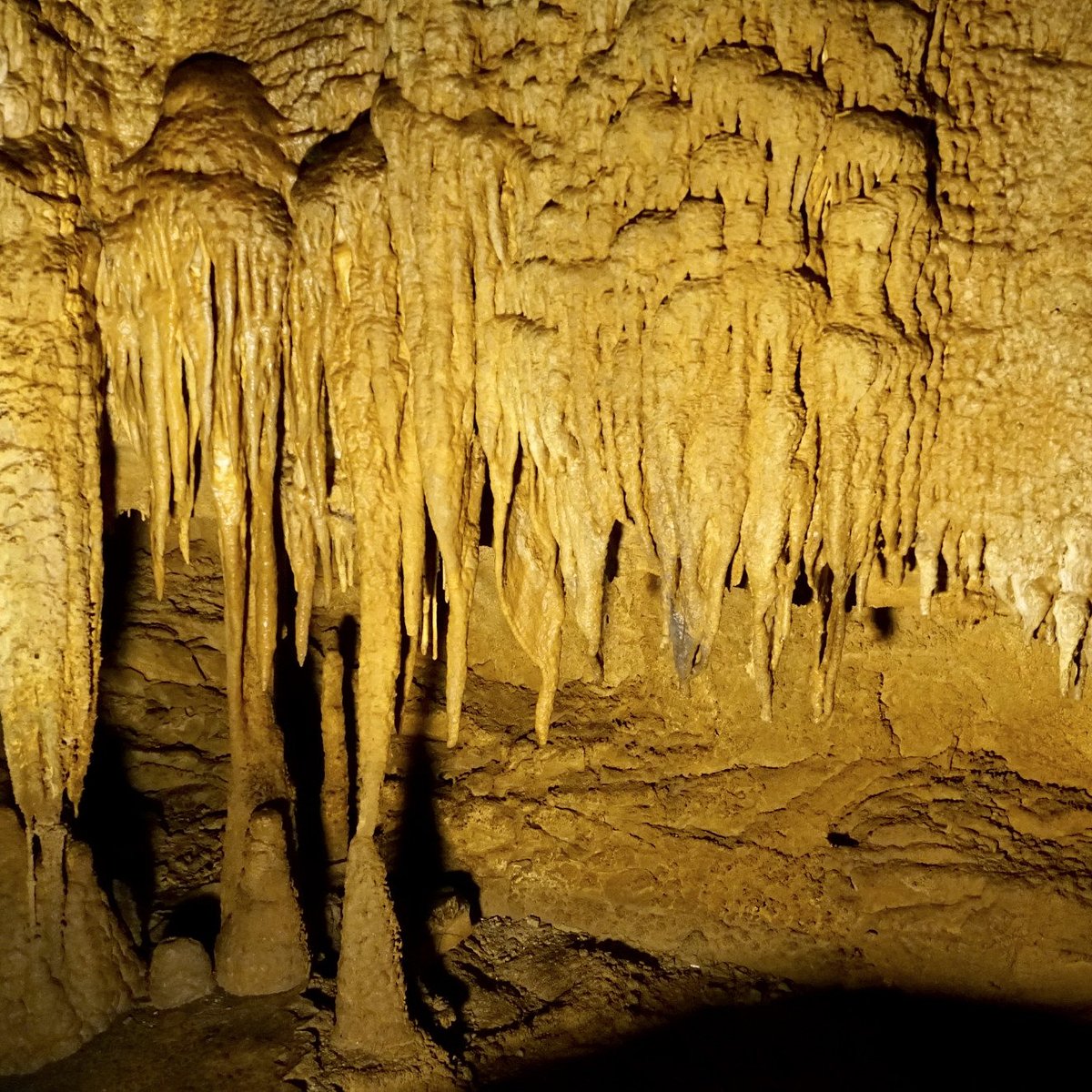 Мамонтова пещера в северной америке. Национальный парк Мамонтова пещера. Мамонтова пещера Кентукки. 3. Мамонтова пещера.. Мамонтовые пещеры в Кентукки.