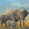 Familytravels