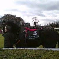 Down Royal Racecourse