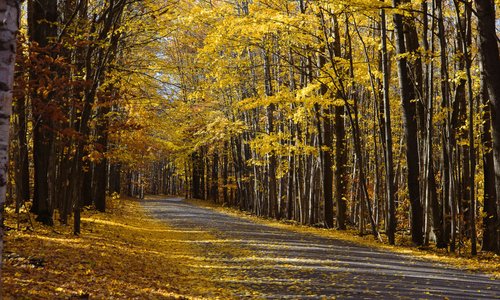 main road
