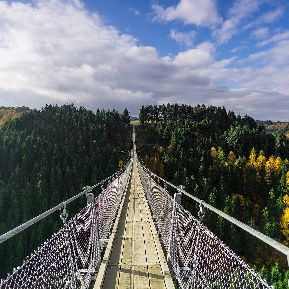 Hangeseilbrucke Geierlay, Moersdorf: лучшие советы перед посещением -  Tripadvisor