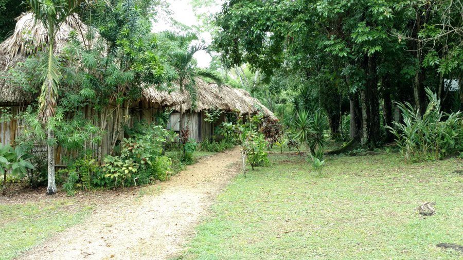 Clarissa Falls Resort