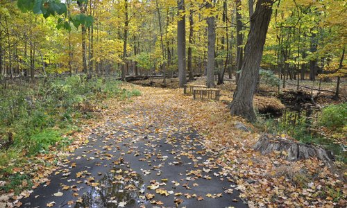 Troy MI 2023: Best Places to Visit Tripadvisor