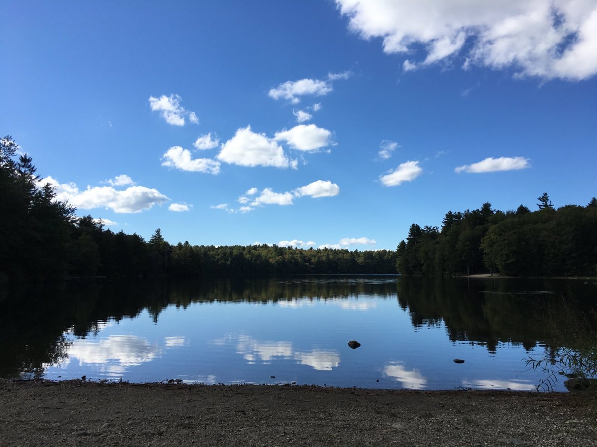 Escape To Serenity: Your Guide To Massachusetts DAR State Forest