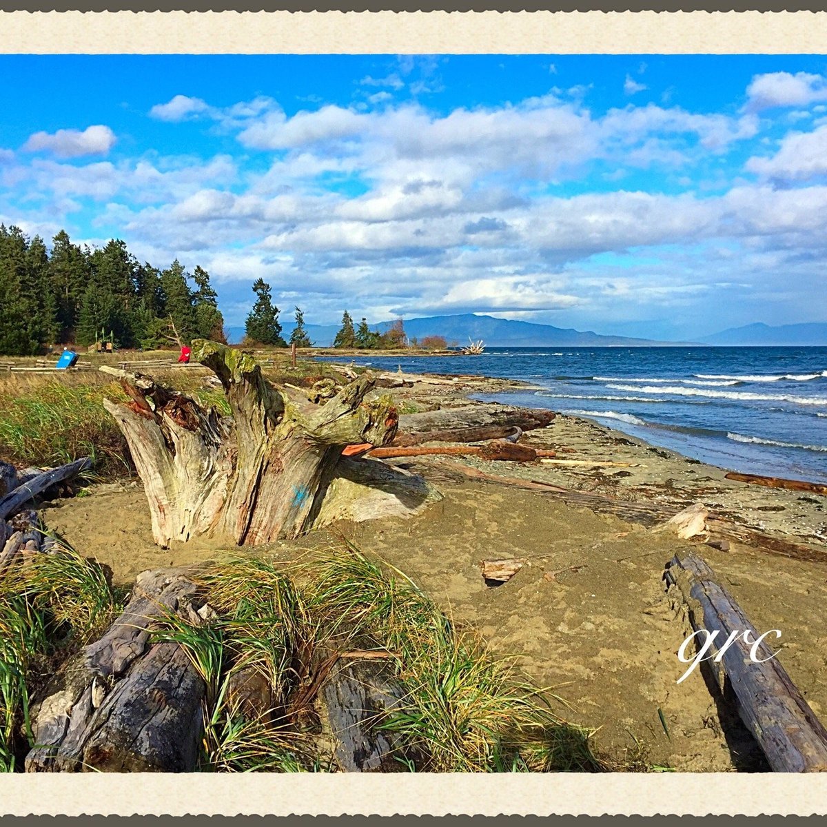 PARC PROVINCIAL DE RATHTREVOR BEACH (Parksville): Ce qu'il faut savoir