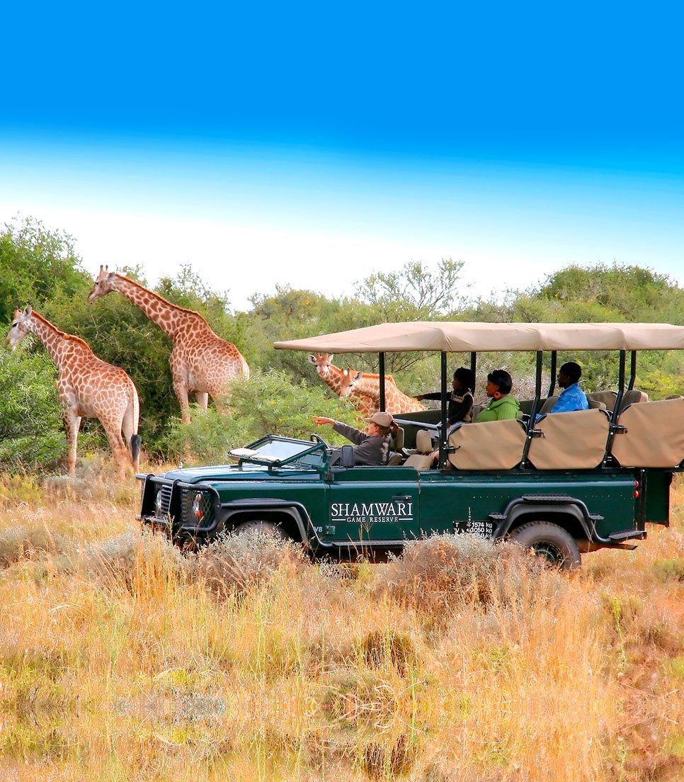 Touring South Africa Day Tours Qué DEBES saber antes de ir