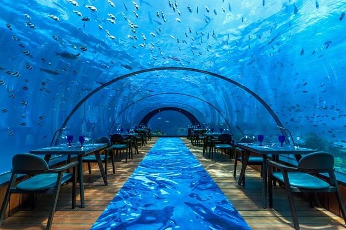 5.8 Undersea Restaurant - Interior