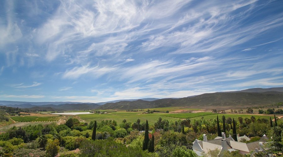 View Across Vineyards