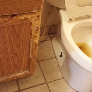 Entered the room to find someone else's urine in the toilet. The cabinet condition matches the r