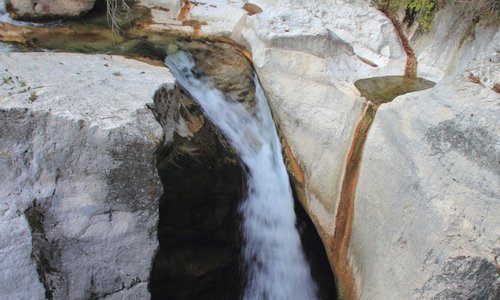 le saut du loup