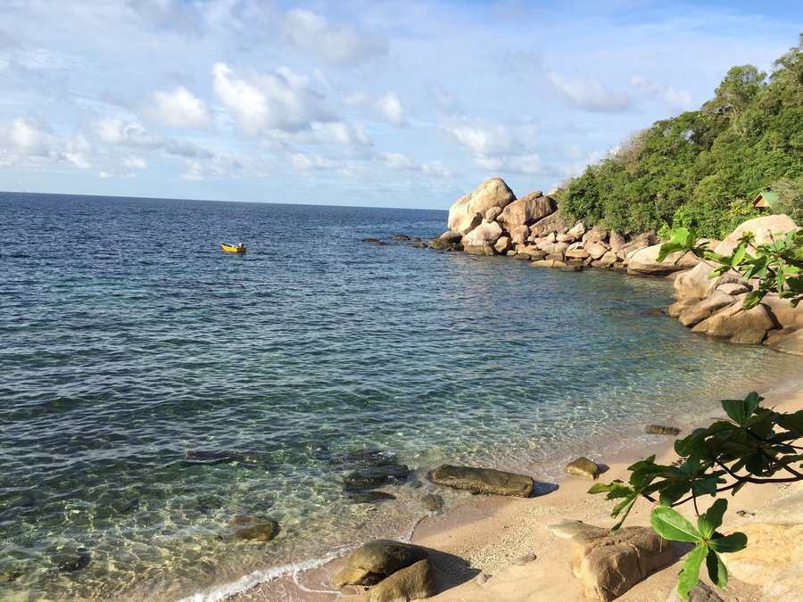 Tao Thong Villa タオ島 口コミ 宿泊予約 トリップアドバイザー