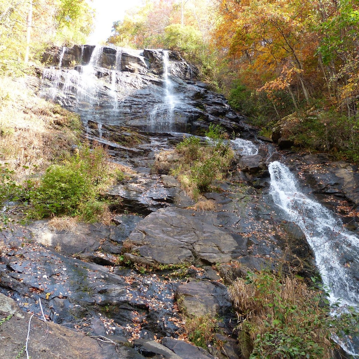 Amicalola Falls State Park (Dawsonville) - All You Need to Know BEFORE ...