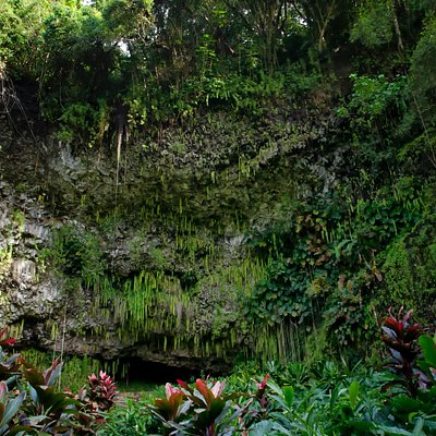 Top 10 夏威夷大洞穴和洞窟 Tripadvisor