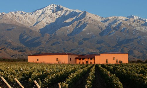 Bodega Cuvelier Los Andes