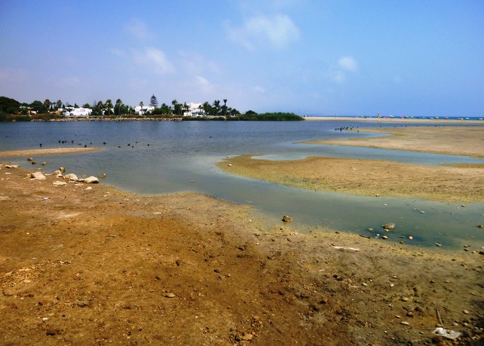 Laguna